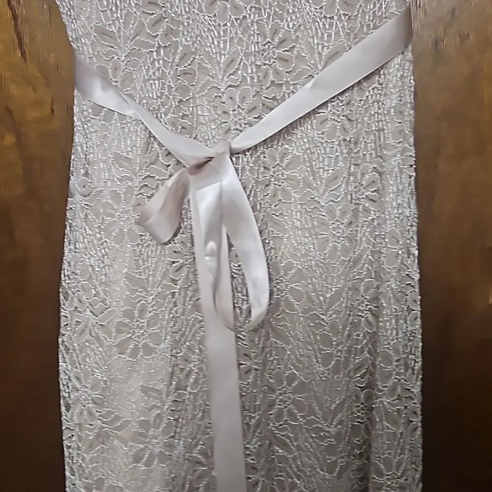 Cardalite Lace dress size MP - Picture 4 of 8